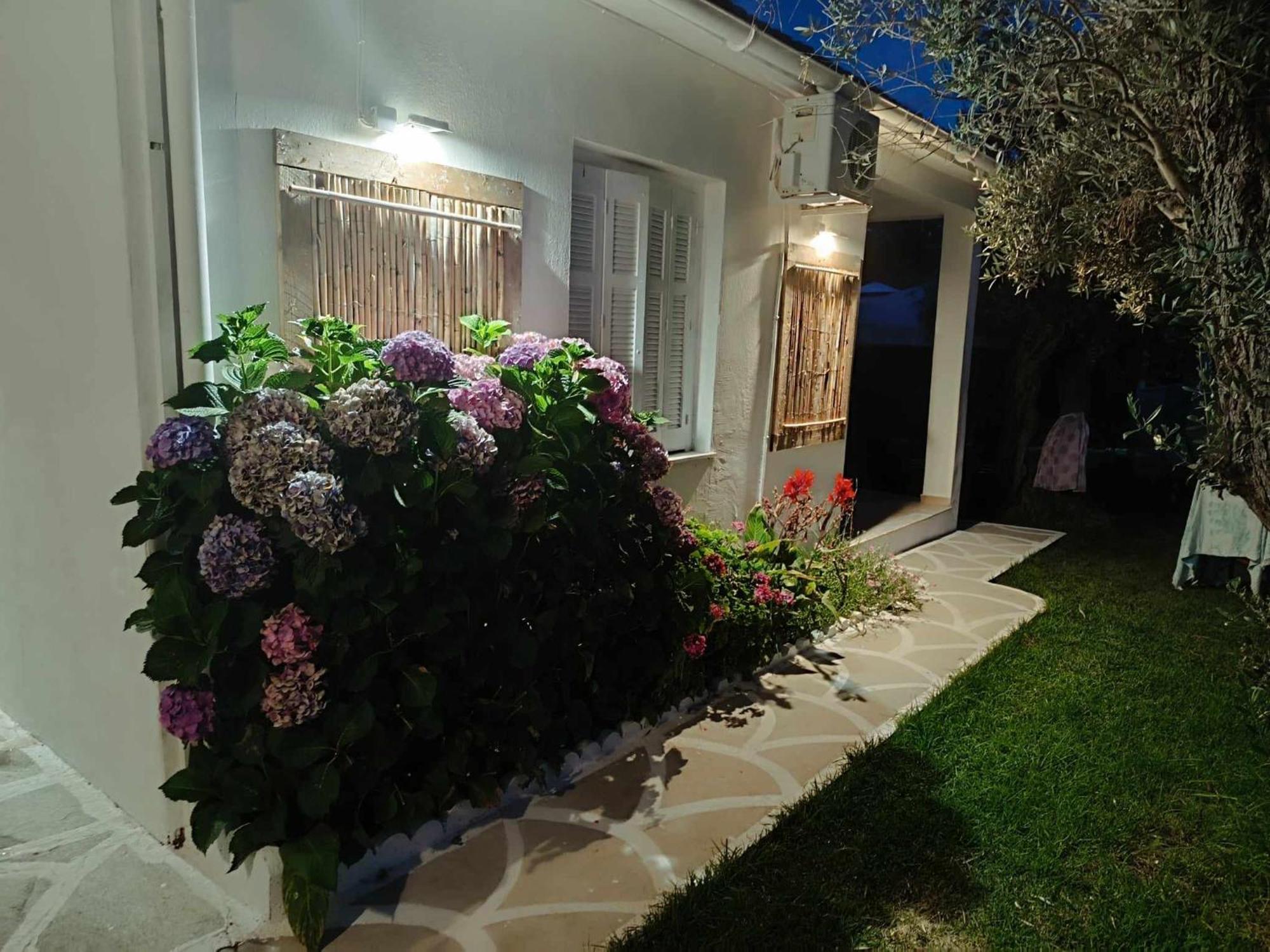 Salty Seashells Skiathos Εξωτερικό φωτογραφία
